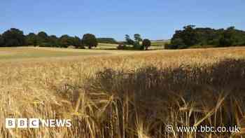 Farmers hit by fertiliser price rise of 140%