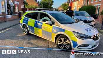 Suffolk lecturer died from stab wound to neck, inquest told