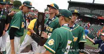 Baseball: Crystal Lake South can't solve Washington's Easton Harris in IHSA 3A third-place game - Northwest Herald