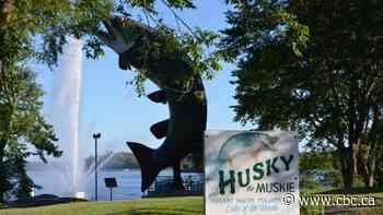 The iconic giant fish sculpture in Kenora, Ont., is getting a facelift, led by this Alberta man - CBC.ca