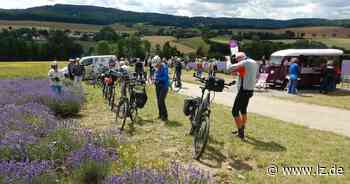 Radeln in die lippische Provence | Lokale Nachrichten aus Horn-Bad Meinberg - Lippische Landes-Zeitung