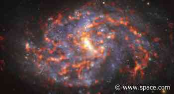 Behold the coiled beauty of this snake-like galaxy 80 million light-years from Earth