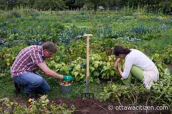 Weather: A little gloomy today, sun is forecast early in the week