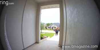 Monique Dawson Isn't Mad, But She Would Like a New Job - D Magazine