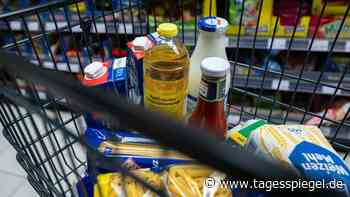 Landwirtschaft ächzt unter hohen Kosten: Bauern gehen von weiteren Preissteigerungen aus - Wirtschaft - Tagesspiegel