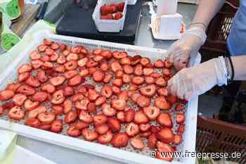 Britische Bauern fordern mehr Visa für Saisonarbeiter - freiepresse.de