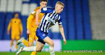 QPR join Luton, Coventry and Hearts in transfer battle for defender after Brighton contract call - Sussex Live