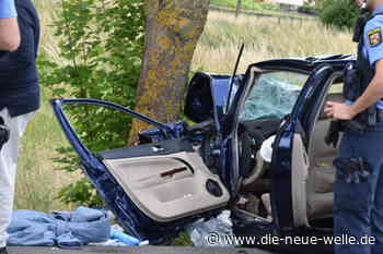 Autofahrer knallt gegen Baum bei Rheinzabern und stirbt im Krankenhaus - die neue welle