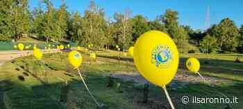 Lions Saronno dona 60 piante al Parco Aironi di Gerenzano - ilSaronno