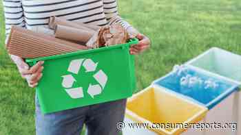 Quiz: Can Your Habits at Home Help the Planet? - Consumer Reports