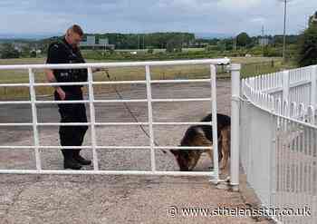 Dog captured after escaping from its owners at Lymm Services on the M6 - St Helens Star