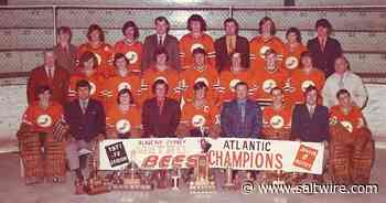 Glace Bay-Sydney Metro Bees put differences behind them to win Atlantic championship 50 years ago - Saltwire