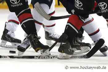 Ludwig Nirschl wechselt aus Memmingen nach Bad Tölz - Hockeyweb.de