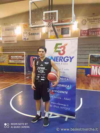 Ufficiale, il Basket Todi firma la guardia Marco Cipriani - Serie C Gold Girone Unico - Basketmarche.it