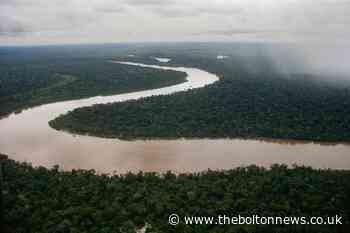 Pair's disappearance in Brazil's Amazon tied to 'fish mafia' - The Bolton News