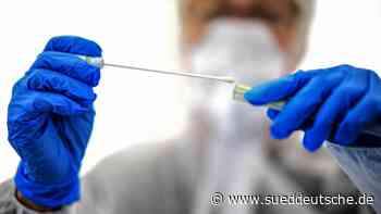 Gesundheit - Kiel - Corona-Inzidenz in Schleswig-Holstein weiter über 500 - Gesundheit - Süddeutsche Zeitung - SZ.de