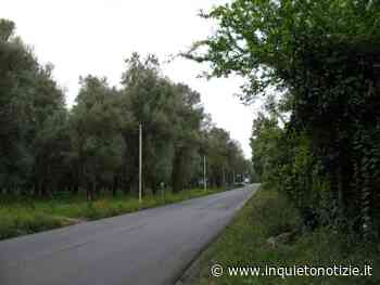 Sp1 Gioia Tauro-Locri, l’U.Di.Con. Calabria chiede interventi per la sicurezza stradale - Inquieto Notizie - Inquieto Notizie