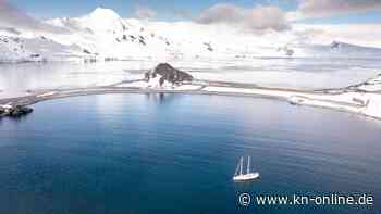 Sind RNA-Viren im Meer mögliche Klimahelfer?