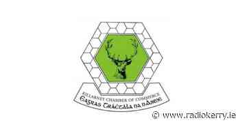 Killarney Chamber congratulates Kerry Airport on significant recovery - Radio Kerry