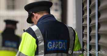 Illegal workers interviewed and documents seized by officers during Meath search - Dublin Live