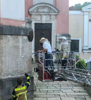 Altstadtkirche St. Paul von Bienenschwarm befreit - Nachrichten - Bürgerblick Passau