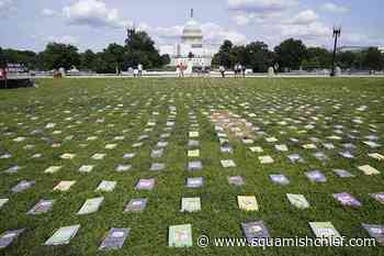 Senate bargainers announce outline of gun violence agreement - Squamish Chief