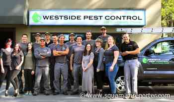 New pest control company in Squamish and Whistler - The Squamish Reporter