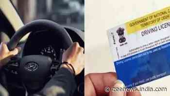 Delhi Transport department issues over 4,000 international driving permits for US and Canada - Zee News