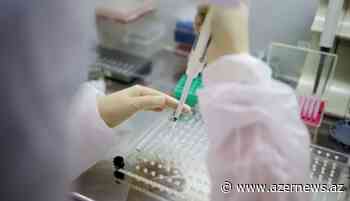 BA.4 sub-lineage of novel coronavirus detected in Russia - AzerNews.Az
