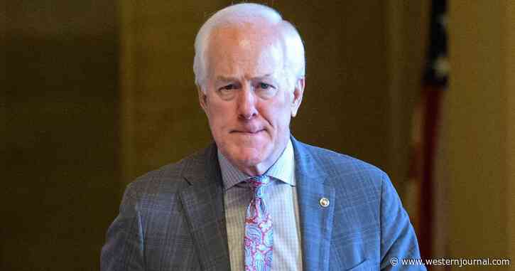 Breaking Report: Gun Legislation Deal Reached - Here Are the 10 GOP Senators Responsible