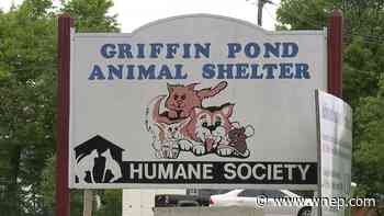 Griffin Pond Animal Shelter at full capacity - WNEP Scranton/Wilkes-Barre
