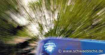 Lindau: Streit am Lindauer Löwen eskaliert | schwäbische - Schwäbische