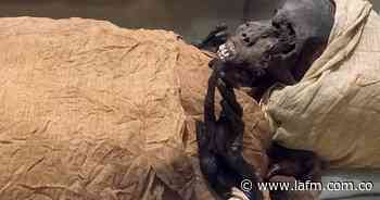 Descubren 250 sarcófagos y 150 estatuas al sur de El Cairo - La FM