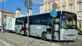 Problema tecnico: ecco cos'è successo alla motonave Trieste – Grado. Adriatica manca due partenze su tre - Il Piccolo