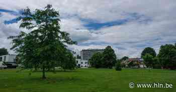 Op huizenjacht in... Koningslo bij Vilvoorde: “Op een steenworp van Brussel, maar pal in het groen” - Het Laatste Nieuws