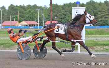 Airspindler returns victorious to Cumberland - Harnesslink