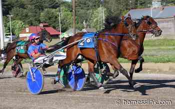 Harringtons enjoy big day at Cumberland - Harnesslink