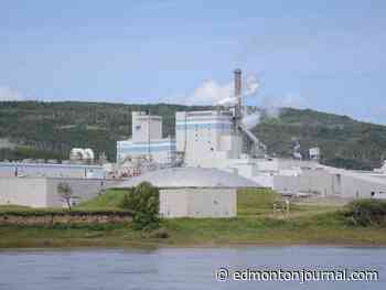 Worker, 53, killed at northern Alberta pulp mill