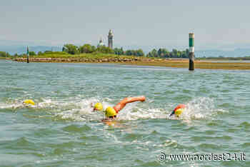 Let’sGo Triathlon Grado 2022, in 240 alla Barbanade: a nuoto in laguna lungo il canale navigabile - Nordest24.it
