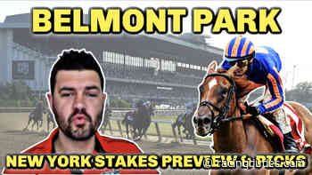 WHICH Chad Brown & Peter Brant Horse Wins? | 2022 New York Stakes Preview, FREE Picks, & Longshots - Racing Dudes