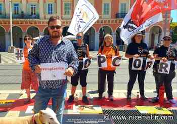 A Nice, l'association One Voice dit "stop" à la corrida et aux écoles taurines - Nice matin