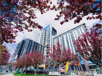 Around Town Monday June 13 JEMM Properties - Calgary Herald