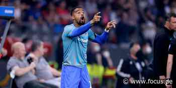 Boateng überträgt seine Hochzeit im Internet und verkauft Tickets an Fans - FOCUS Online