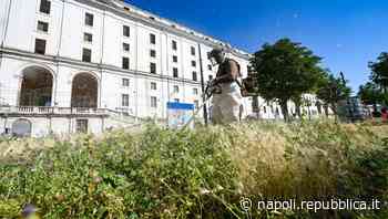Napoli, bonificata piazza Carlo III: cento sacchi di rifiuti - La Repubblica