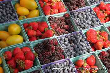 Disease prevention starts in the grocery store grabbing nutritional items - Creston Valley Advance