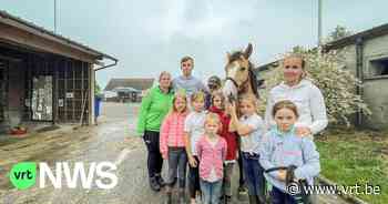 Manege in Kluisbergen verkoopt snoepzakjes: "Met de opbrengst willen we gronden kopen en een sluiting verhinderen" - VRT NWS