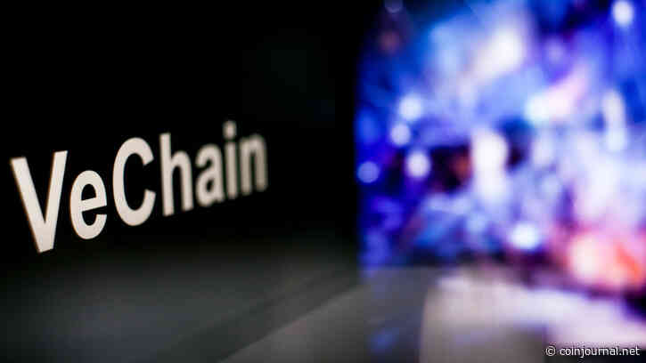 Highlights June 10: VeChain flat despite becoming official UFC blockchain partner