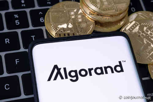 The bear market will probably last at least through 2022, says Algorand Foundation CEO