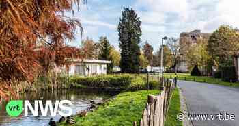 Leuven gaat Ruelenspark vernieuwen en dat zal ook dienen als waterbuffer - Vlaamse Radio- en Televisieomroeporganisatie