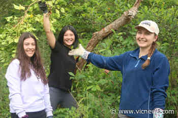 North Saanich Park to be greened up by local environmental charity – Victoria News - Victoria News